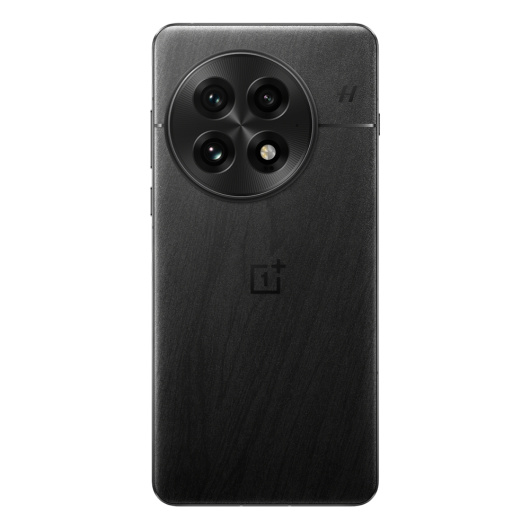 OnePlus 13 12/512Gb Dual nanoSim Черный (CN)