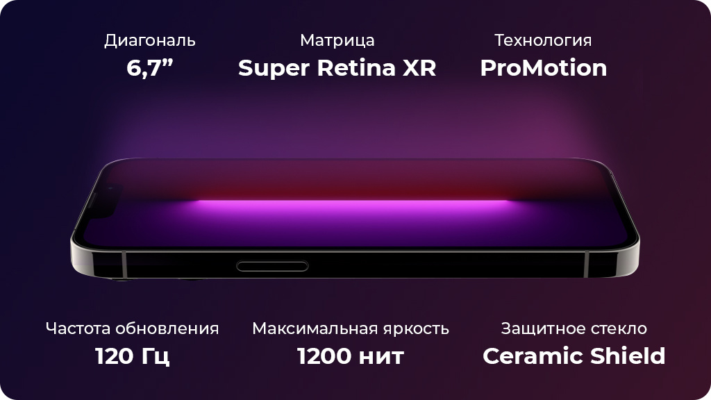 Apple iPhone 13 Pro Max 256Gb Голубой (JP)